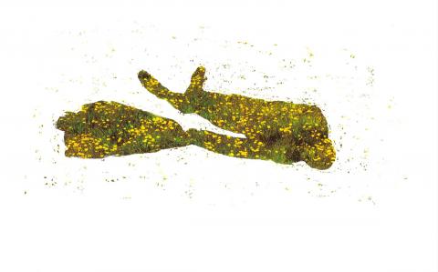 Le Torero mort